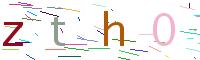 Verify Code