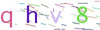 Verify Code