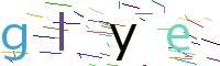 Verify Code