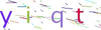 Verify Code