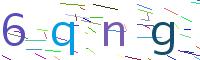 Verify Code